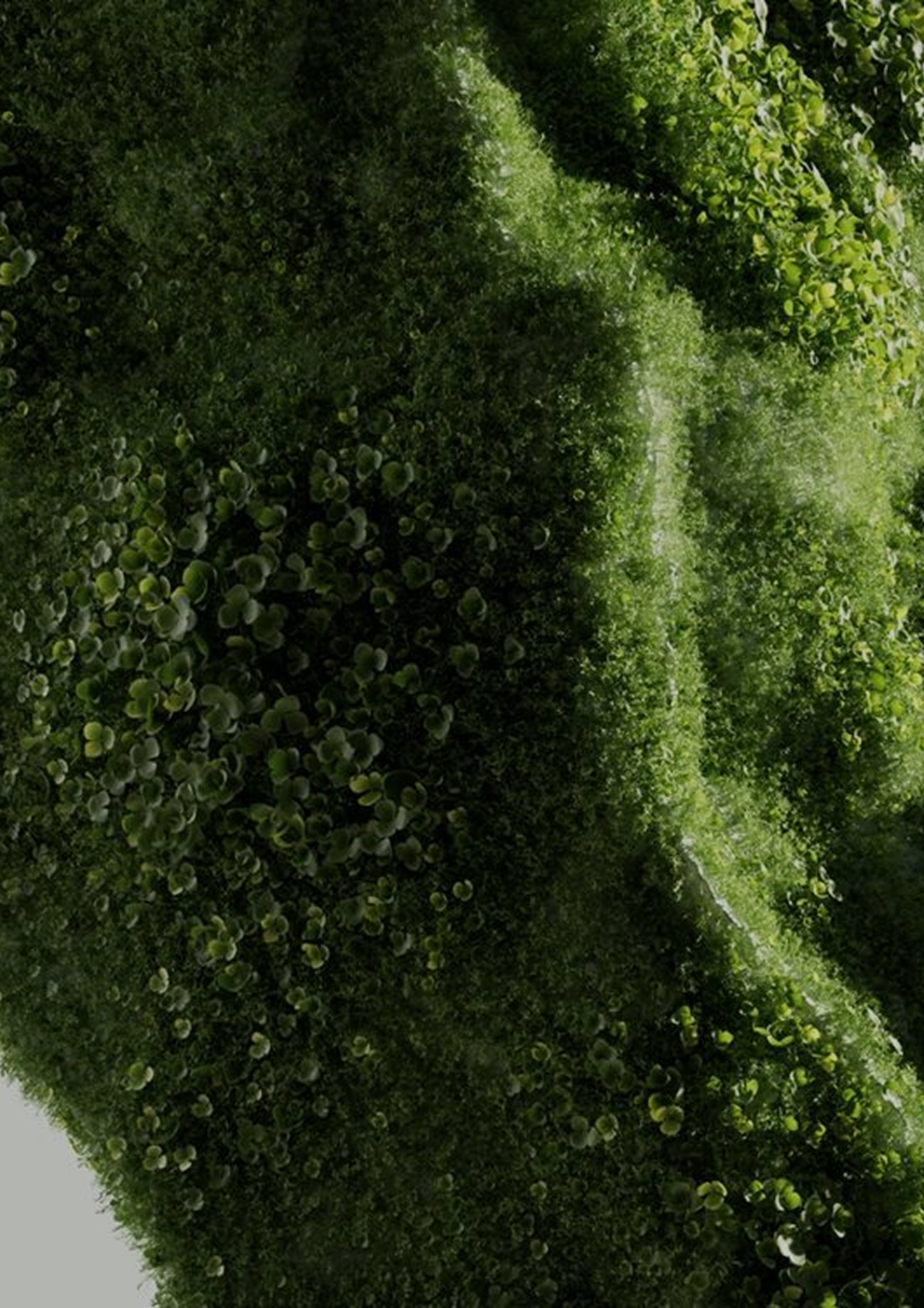 matière nature vert gamme pure atomes skin